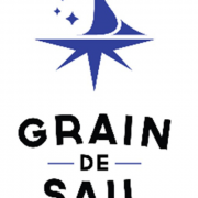Chef(fe) mécanicien