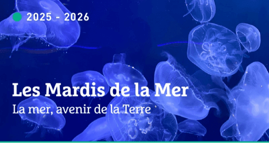 CONFÉRENCE DES MARDIS DE LA MER : SEULE FACE À LA MER – 3 FÉV 2026